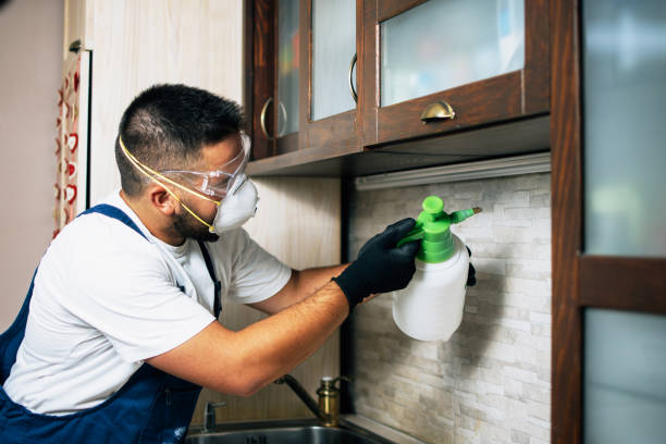 Reliable Oak Ridge, TN Pest Control Solutions