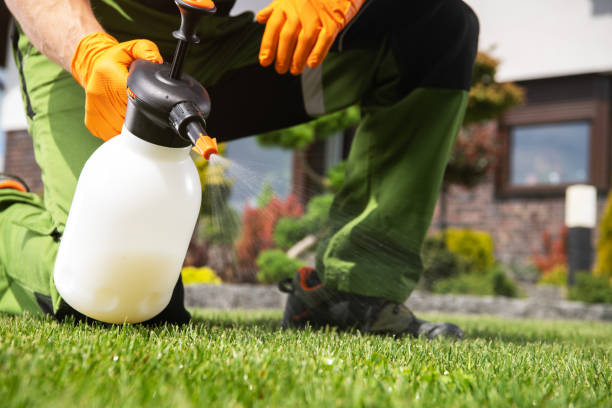 Best Pest Control for Homes  in Oak Ridge, TN