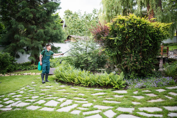 Best Exterminator Services  in Oak Ridge, TN