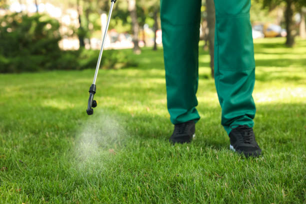 Best Rat Extermination Near Me  in Oak Ridge, TN