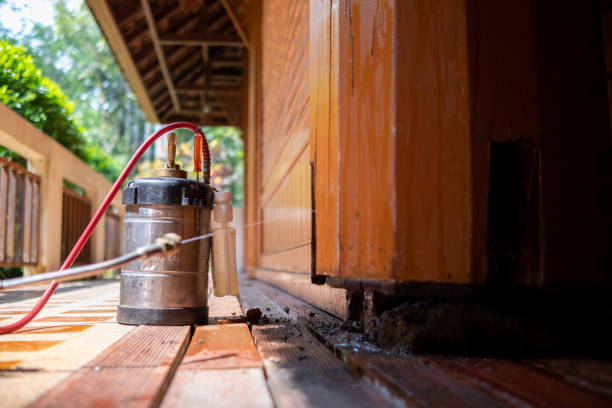 Best Cockroach Control Services  in Oak Ridge, TN