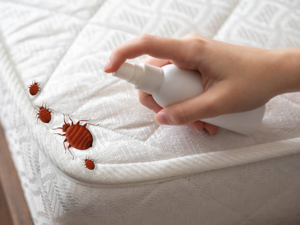 Best Residential Pest Control  in Oak Ridge, TN