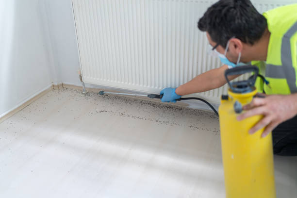 Best Best Pest Control Companies  in Oak Ridge, TN